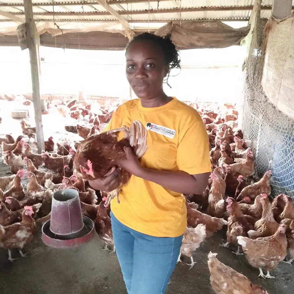 Éleveuse au milieu de poules pondeuses